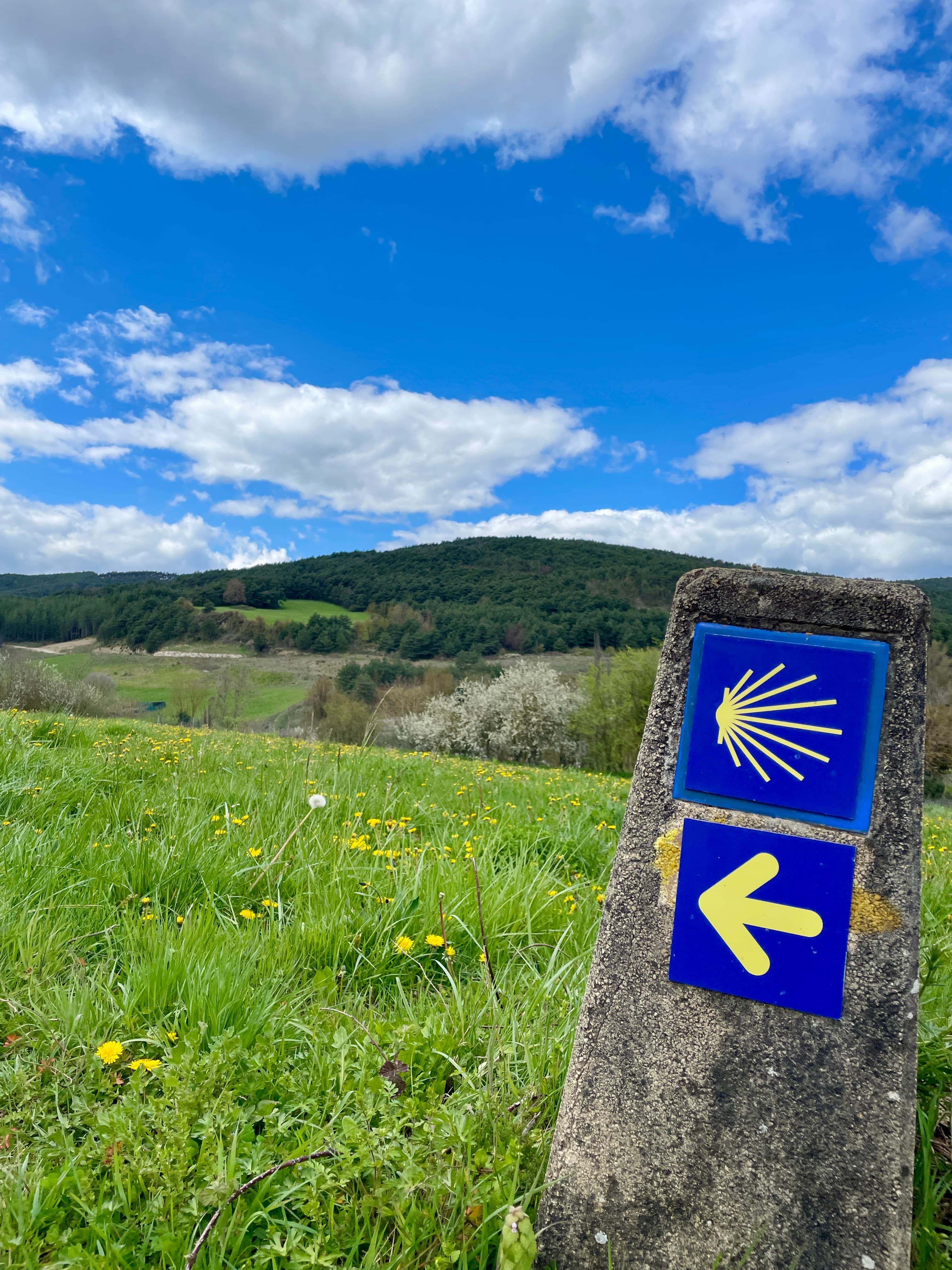 Yellow arrow waymark painted along the Camino de Santiago