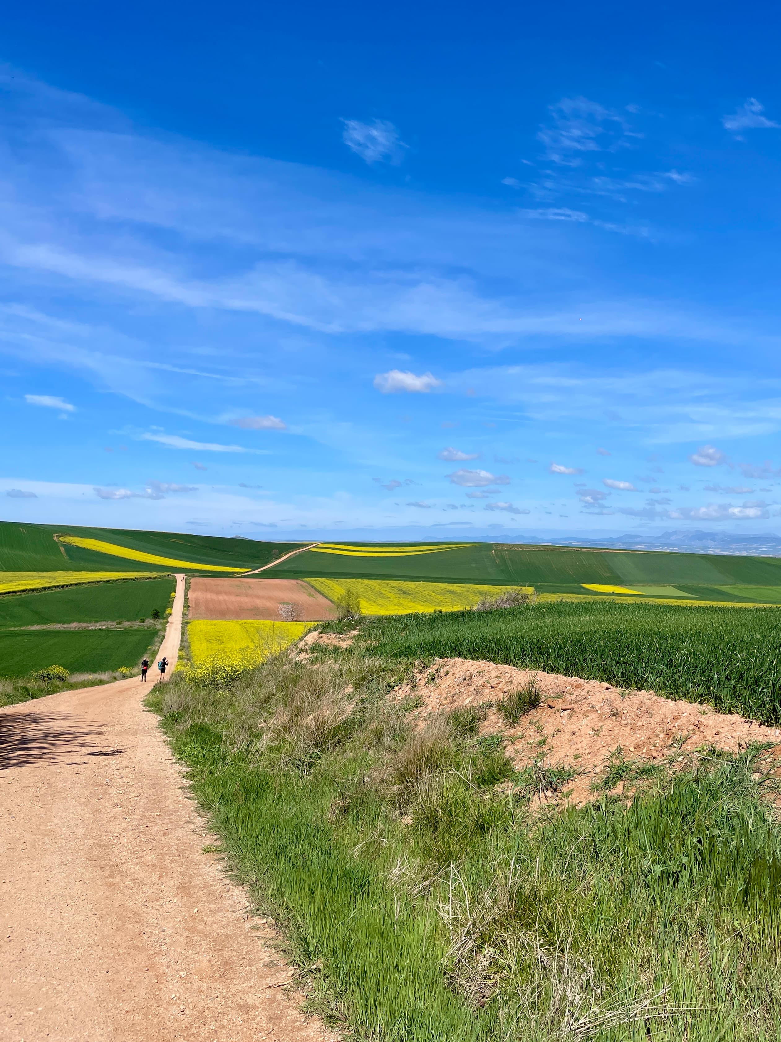 Camino Francés