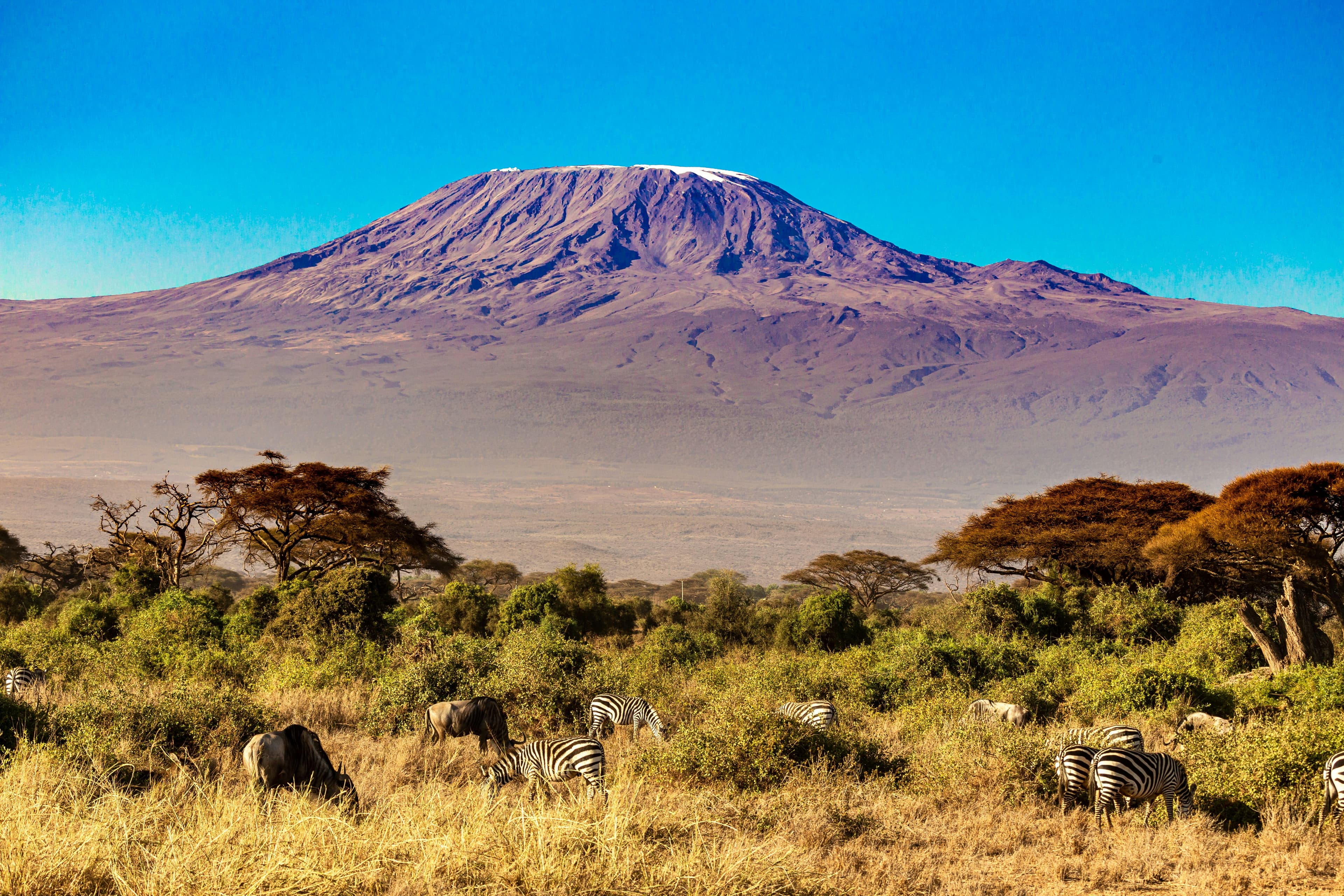Kilimanjaro (Machame Route)