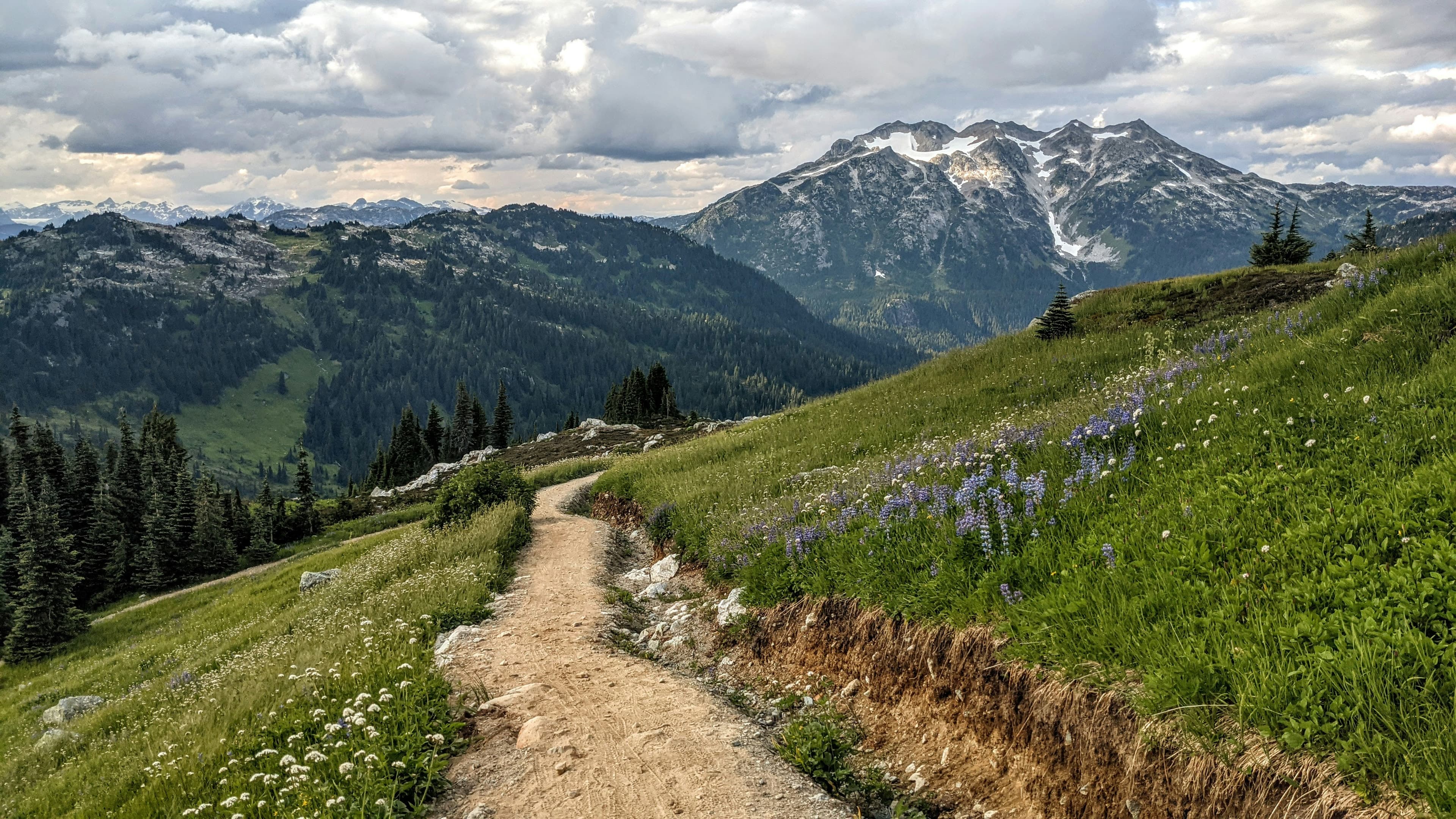 Seceda Ridgeline — cover photo